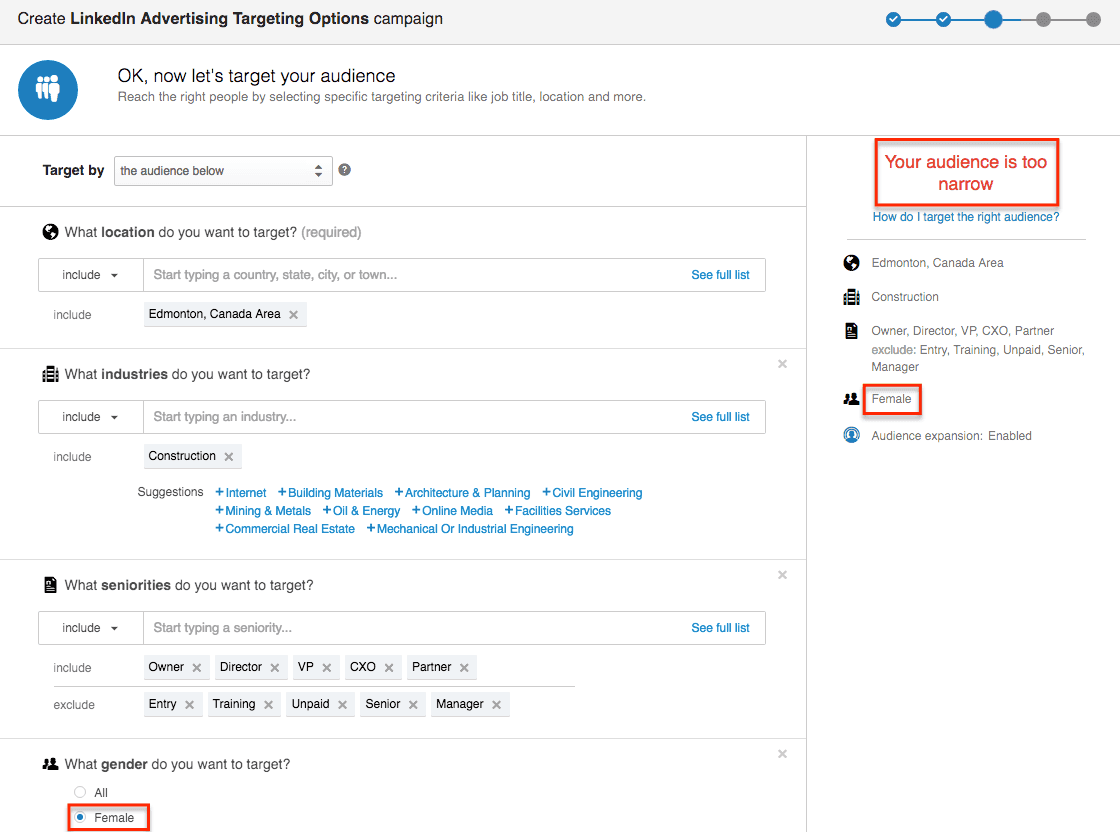 LinkedIn Advertising Targeting Options