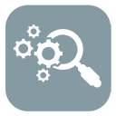 Professional SEO Expert