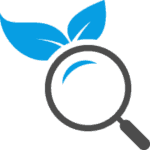 Professional SEO company